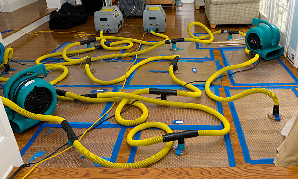 Professional Crawl Space Water Removal technician working in McDade, TX